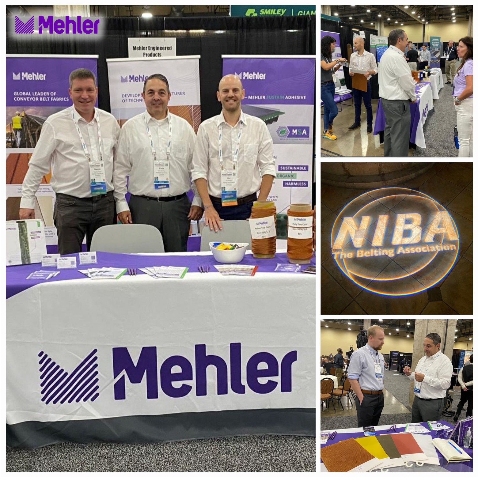MEHLER_NIBA_2025_Review